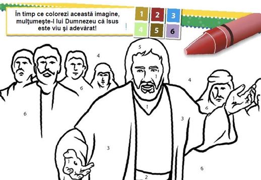 Colorează imaginea Vorschau